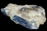 Vibrant Blue Kyanite Crystals In Quartz - Brazil #118855-1